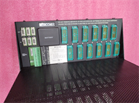 8110 TRICONEX