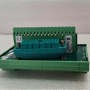 9753-1XX TRICONEX 端子模块