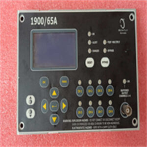 1900/65A BENTLY 监测器