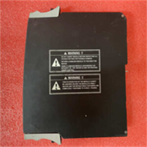 AIH 3723X TRICONEX 模拟输出模块