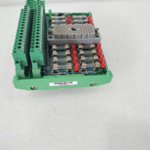 9563-810 TRICONEX 外部端接面板