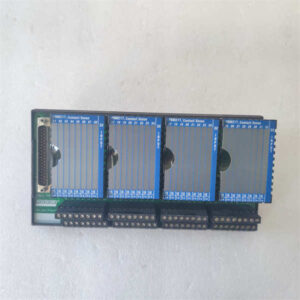 RH916XZ FOXBORO 终端模块