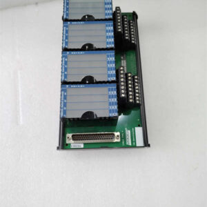 P0916NG FOXBORO 控制系统（DCS）的模块基座