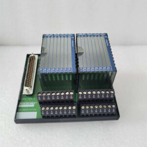P0917MG  FOXBORO 电压监视器 I/O 模块
