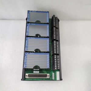 P0916PW FOXBORO 接线端子组件