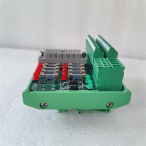 9565-810F TRICONEX 外部端接面板