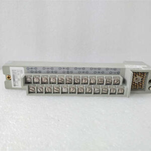 N-2AX+DIO FOXBORO 信号分配模块