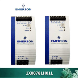 1X00781H01L EMERSON DIN 导轨式电源模块