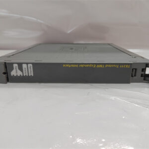 T8311 ICS TRIPLEX TMR 扩展器接口模块