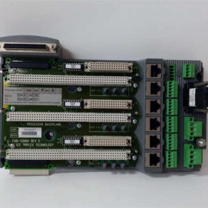 9100 ICS TRIPLEX 基单元处理器