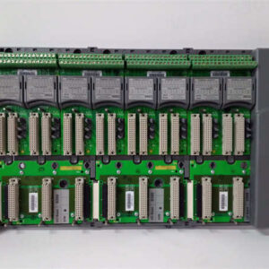 9300 9832 9802 ICS TRIPLEX 基单元处理器