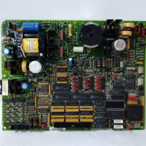 DS200TCEAG1ACB  GE  I/O TC2000模拟板