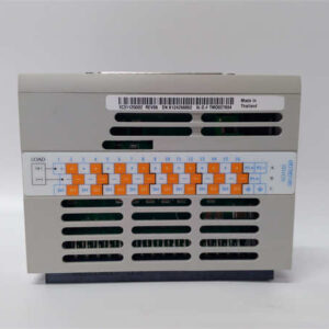 1C31125G02 WESTINGHOUSE 数字输出模块