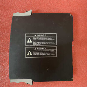 AIH 3723X TRICONEX 模拟量输入模块