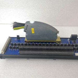 T8830 ICS TRIPLEX 40 通道模拟量输入现场端子组件 (FTA)