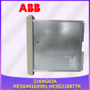 ABB 216NG63A HESG441635R1 HESG216877K - 辅助直流电源，系统稳定基石！