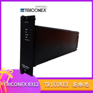 TRICONEX 8312 电源模块 - 230VAC输入，Tricon系统稳定供电不掉链！