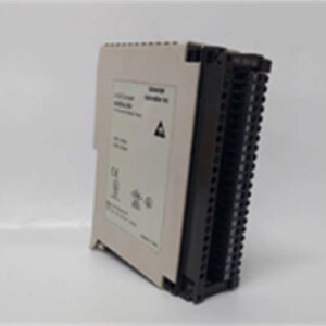 SCHNEIDER AS-BDAU-204 数字量输出模块 - Modicon Premium系列，