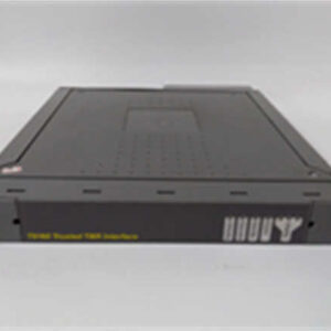 ICS TRIPLEX T8160：T8130B/C模拟量输入模块专用终端基座，高精度信号采集平台。