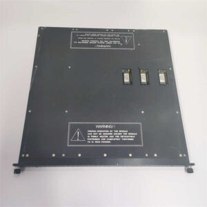 TRICONEX 3674 安全继电器模块 - SIL3认证，故障安全设计的典范之作！