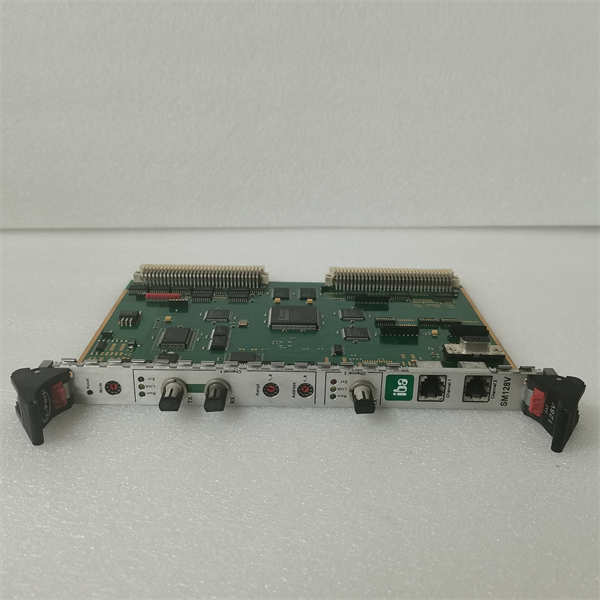 IBA SM128V 信号采集模块 - 实时监测,助力生产过程优化! - 图片 3
