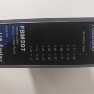 FOXBORO FBM207 (P0914TD) | 8通道热电阻（RTD）输入模块 | I/A Series DCS 高精度温度监测解决方案